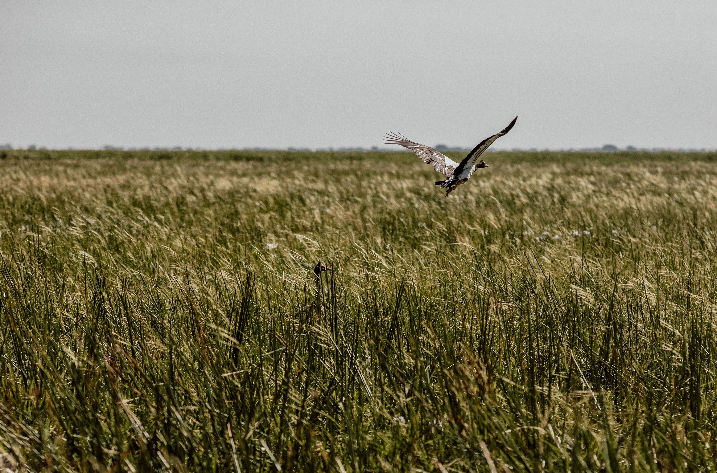 Bamurru Plains