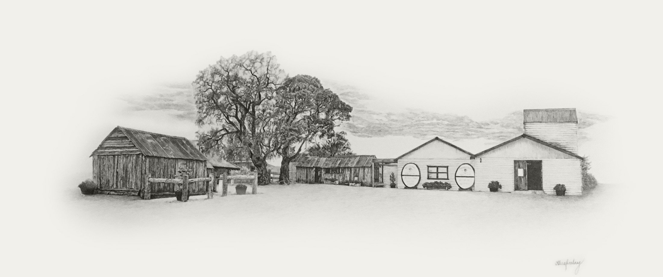 Tyrrell's Wines