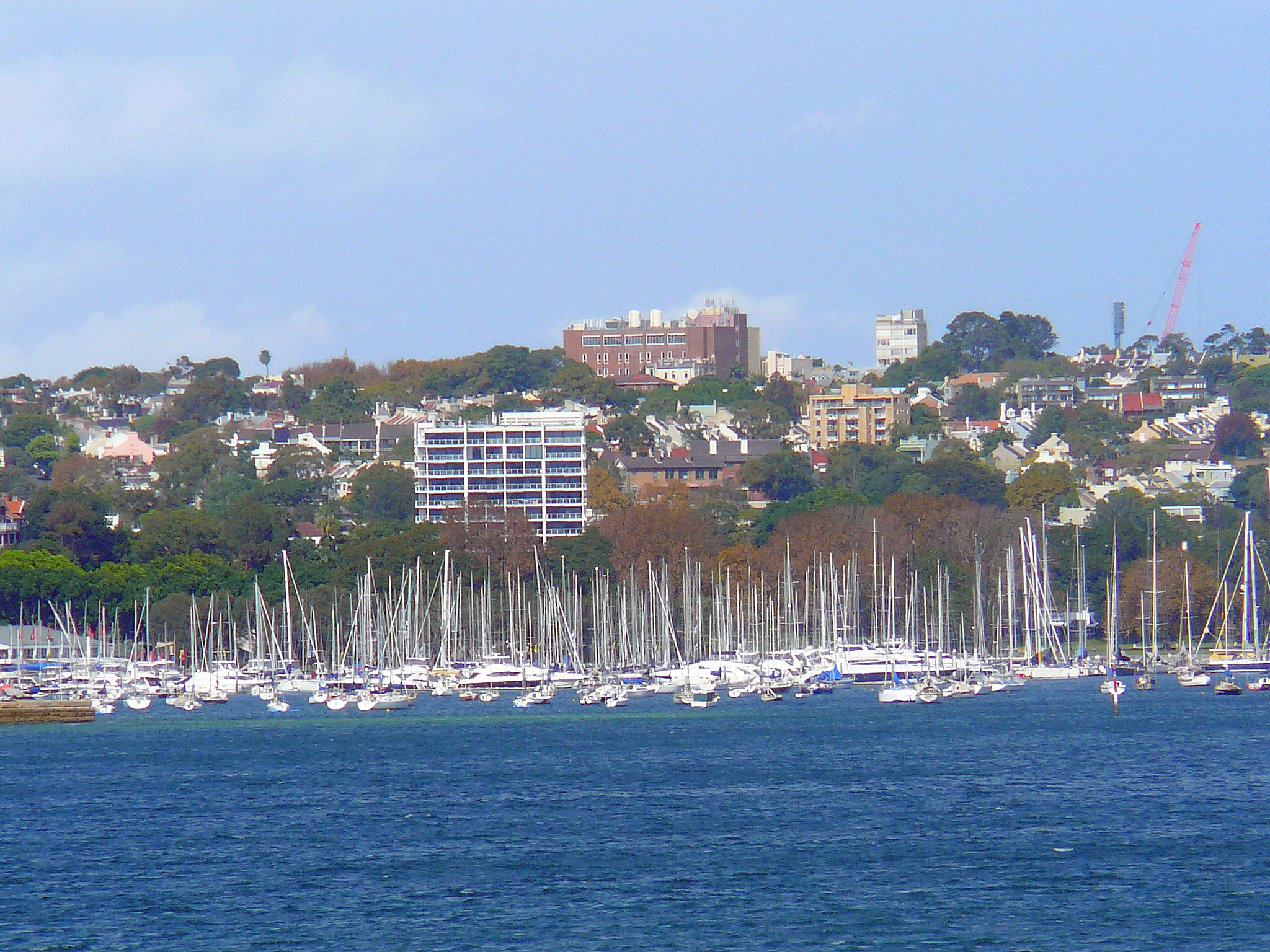 Rushcutters Bay marina viewed from the Darling Point foreshore, the western edge of Yarranabbe Park.